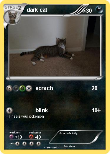 Pokemon dark cat