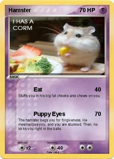 Pokemon Hamster