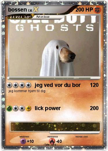 Pokemon bossen
