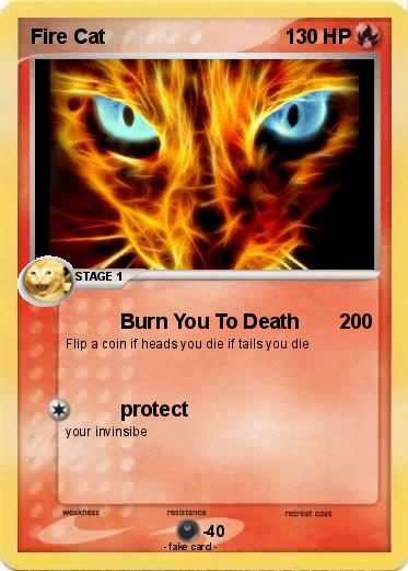 Pokemon Fire Cat