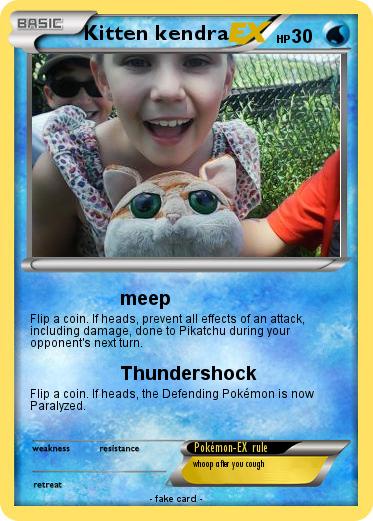Pokemon Kitten kendra