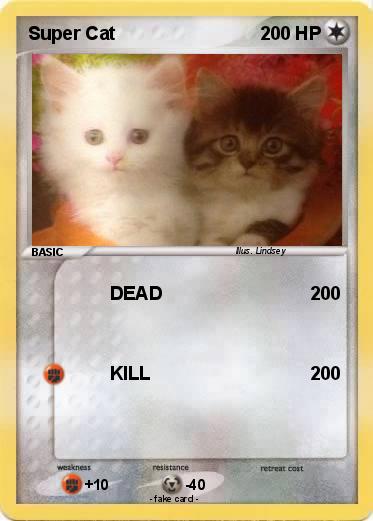 Pokemon Super Cat