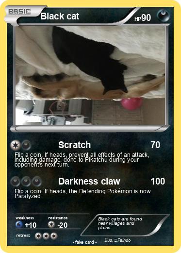 Pokemon Black cat