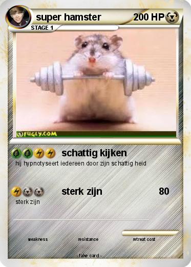 Pokemon super hamster