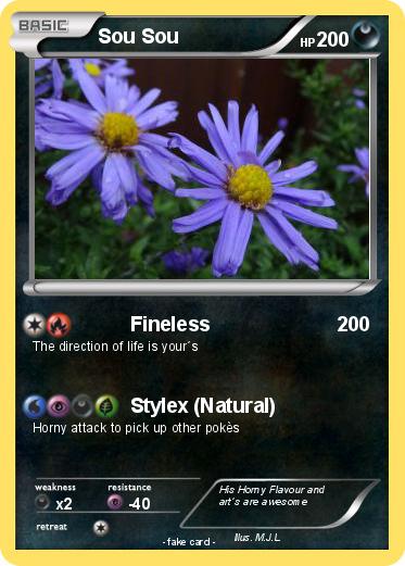 Pokemon Sou Sou