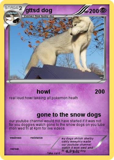 Pokemon gttsd dog