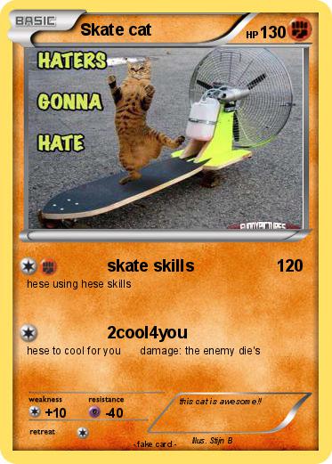 Pokemon Skate cat