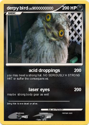 Pokemon derpy bird