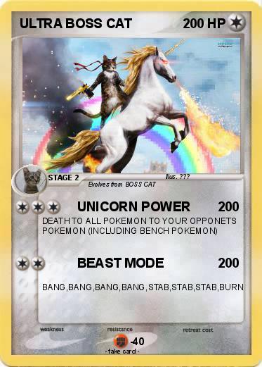 Pokemon ULTRA BOSS CAT