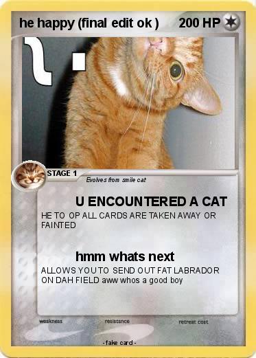 Pokemon he happy (final edit ok )