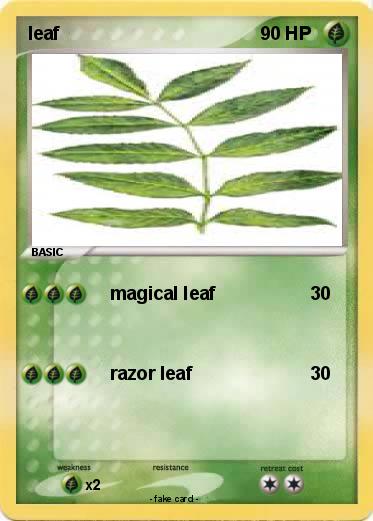 Pokemon leaf