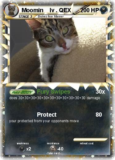 Pokemon Moomin    lv . QEX