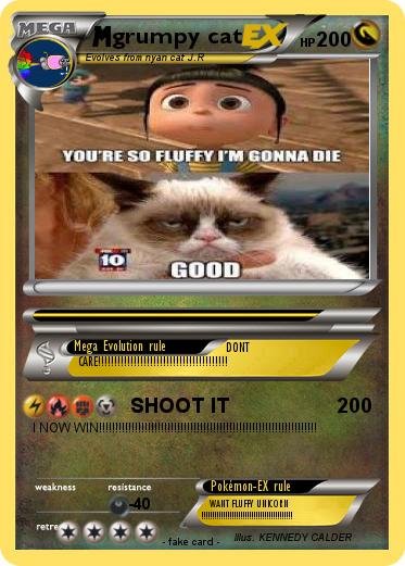 Pokemon grumpy cat