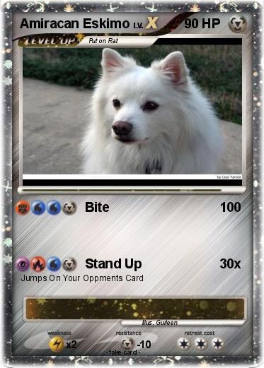 Pokemon Amiracan Eskimo