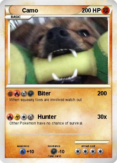 Pokemon Camo