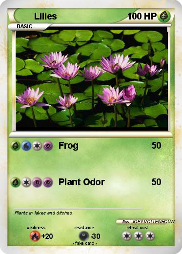 Pokemon Lilies