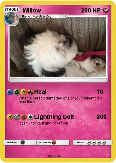Pokemon Willow