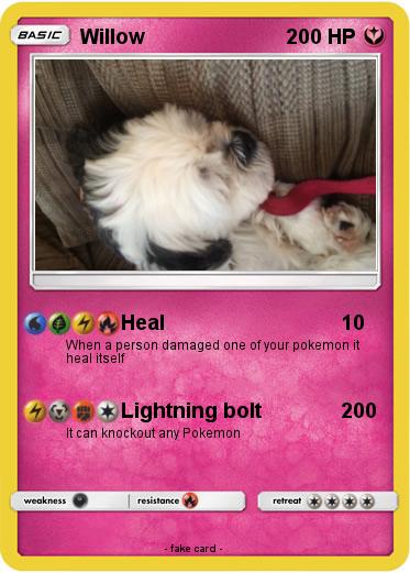 Pokemon Willow