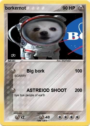Pokemon borkernot