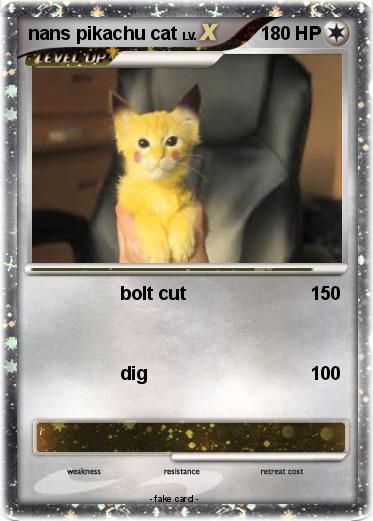Pokemon nans pikachu cat