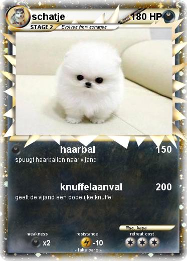Pokemon schatje