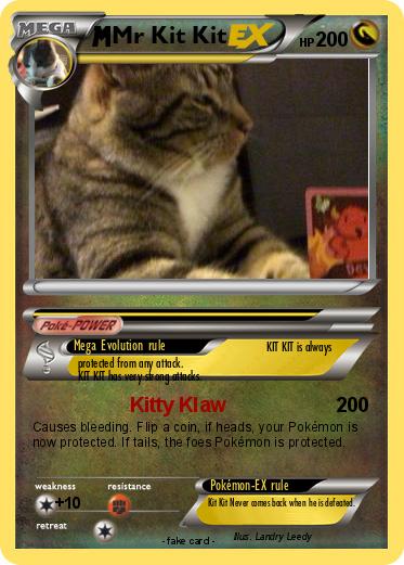 Pokemon Mr Kit Kit
