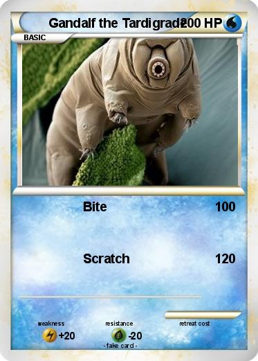 Pokemon Gandalf the Tardigrade