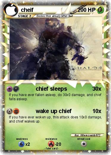 Pokemon cheif