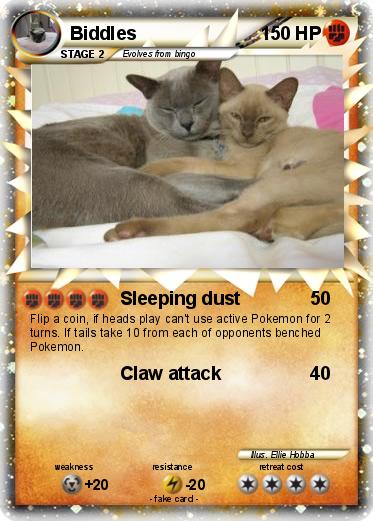 Pokemon Biddles