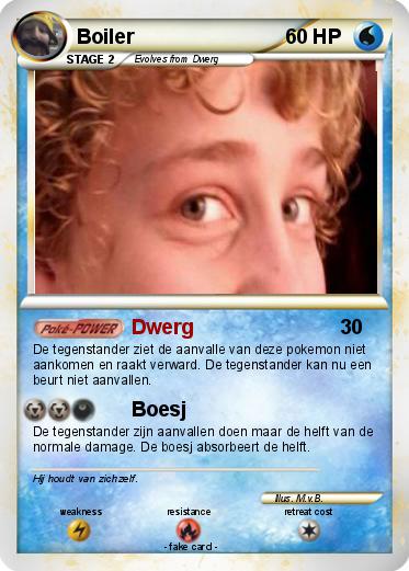 Pokemon Boiler