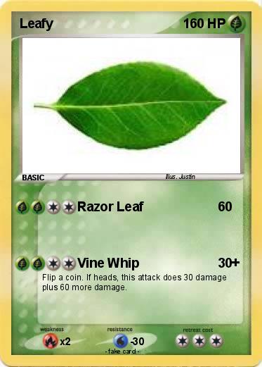 Pokemon Leafy