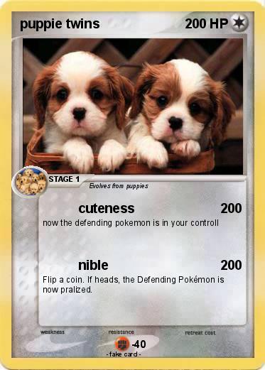 Pokemon puppie twins