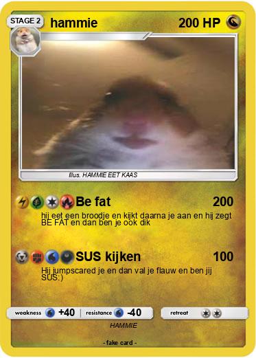 Pokemon hammie