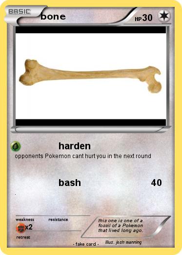 Pokemon bone