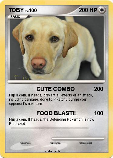 Pokemon TOBY