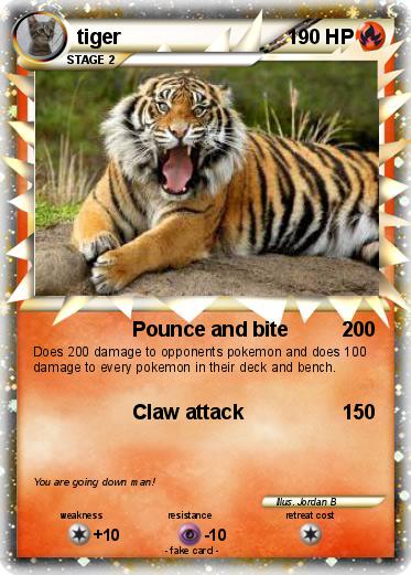 Pokemon tiger