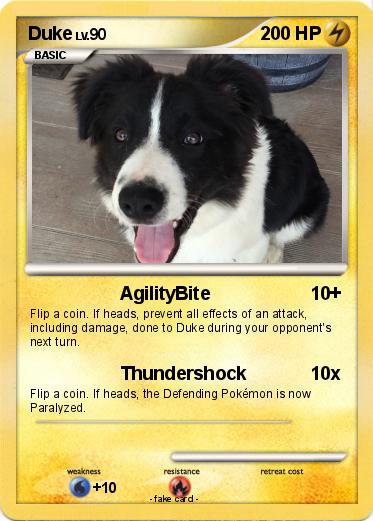 Pokemon Duke