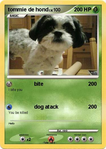 Pokemon tommie de hond