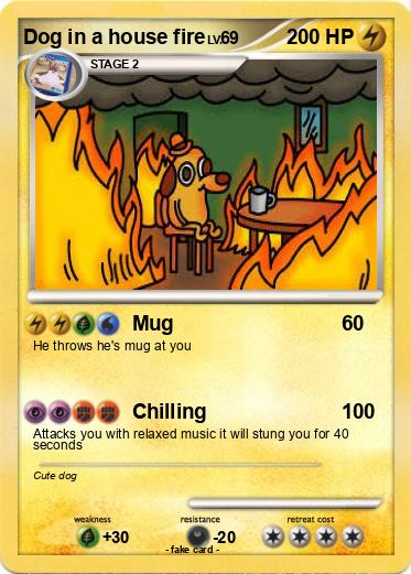 Pokemon Dog in a house fire