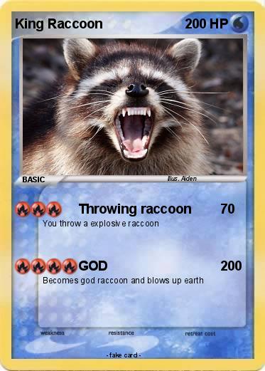 Pokemon King Raccoon