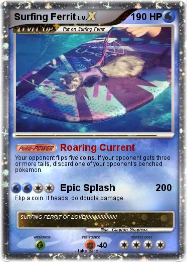 Pokemon Surfing Ferrit