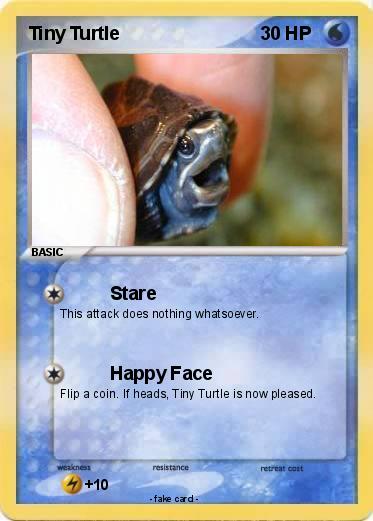Pokemon Tiny Turtle