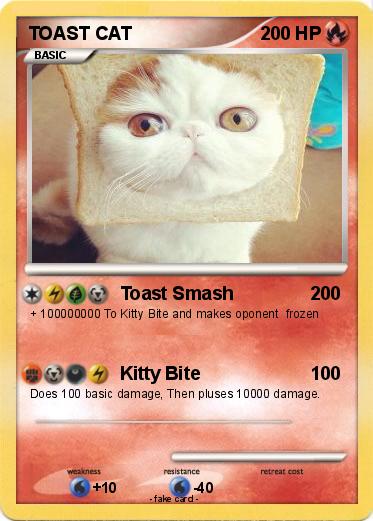 Pokemon TOAST CAT
