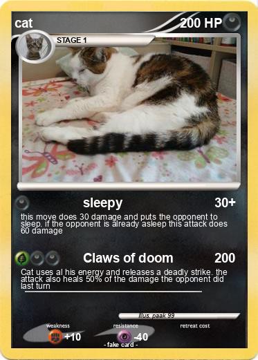 Pokemon cat