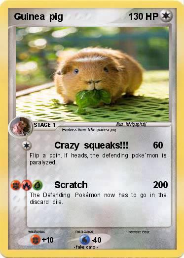 Pokemon Guinea  pig