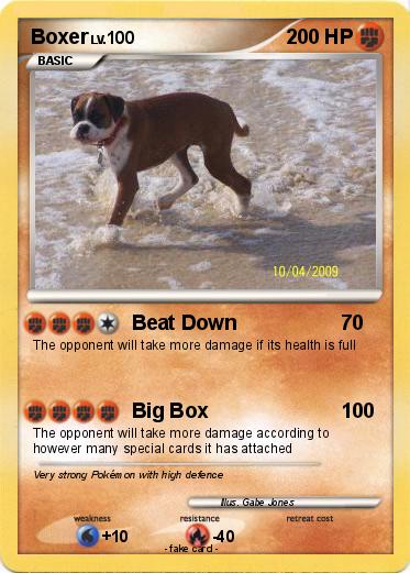 Pokemon Boxer