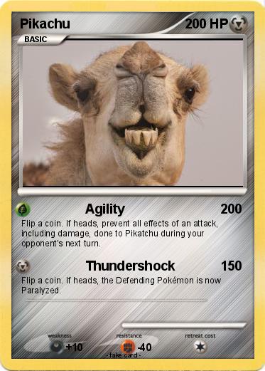 Pokemon camel