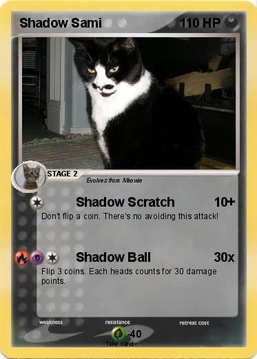 Pokemon Shadow Sami