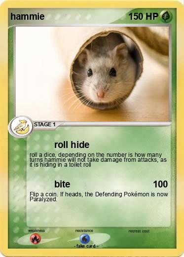 Pokemon hammie