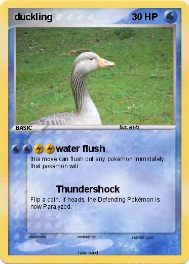 Pokemon duckling